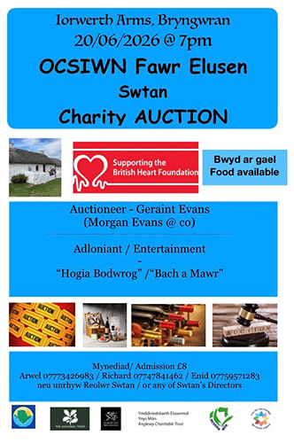 Charity Auction poster and Auction Catalogue
