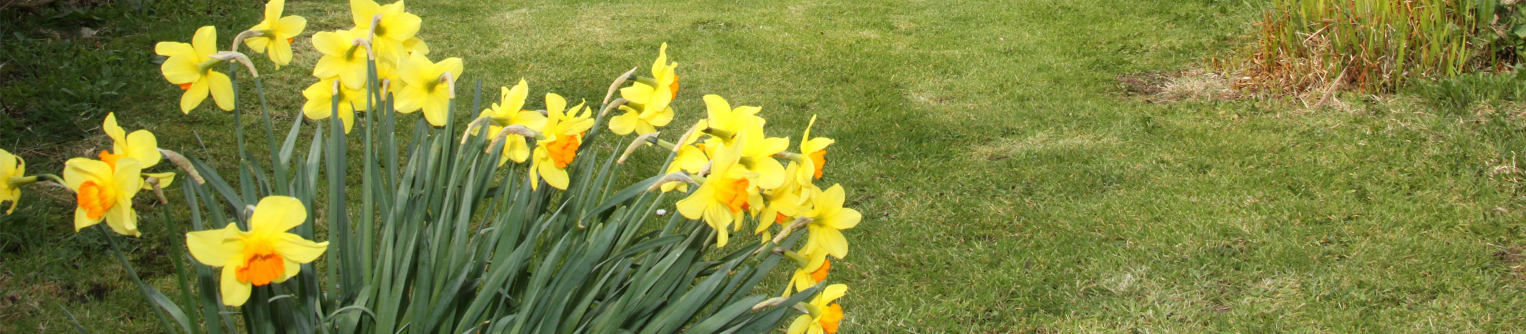 Amgueddfa Treftadaeth Swtan